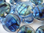 Abalone Lagoon - Ian Williams Artisan Glass Lampwork Beads 