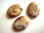Cabochon - Crazy Agate 40x30mm Oval C