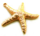 Raw Brass Starfish Charm Pendant