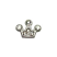 Floating Living Locket Charms, Crystal Rhinestone Princess Crown 