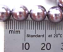 Swarovski Crystal Pearl Beads 8mm mauve