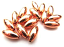 Copper Oval Rice Beads
