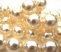 Swarovski Pearl Beads