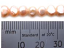 Freshwater PEARL Beads Potato Cabochon 6mm Peach