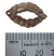 Brass ~ Natural Vintaj 6x30mm Small Leaf Pendant / Toggle Ring x1 