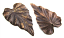 Brass ~ Natural Vintaj 23x38mm Woodland Leaf Pendant x1 