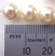 Swarovski Crystal Pearl Beads 8mm Cream