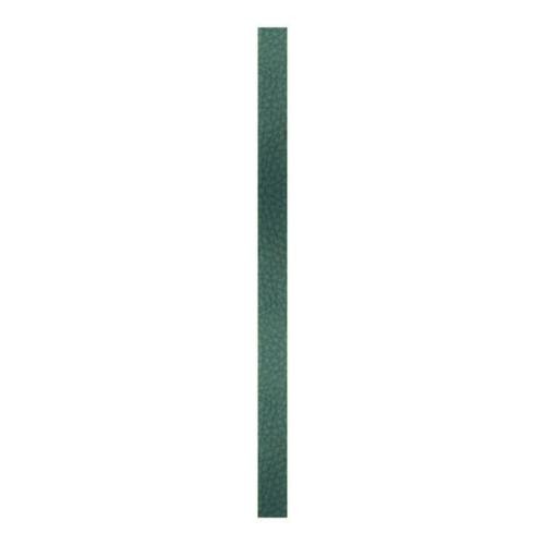 Create Recklessly, Symphony Faux Leather Strip, for Bracelets, 10mm Wide, 10 Inch, x1pc, Orchard Green