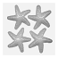 Resin Mould - Starfish Cabochons (4-on-1) 75mm