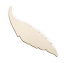 Brass Feather 24g Stamping Blank 2.3" - 59x15mm