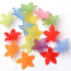 Lucite Flowers 28x28x7mm Lily Frosted Bead 14g Soup Mix