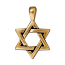 TierraCast Pewter Gold Plated 17x25mm Star of David Pendant 
