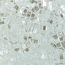 Miyuki Half Tila Bead 1/2 Cut 5mm Lustre Crystal