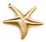 Raw Brass 20mm Starfish Double-sided Charm Pendant x1