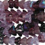 Czech Glass Flower Bell Beads 8/6mm Lilac x10pc