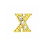 Floating Living Locket Charms, Crystal Rhinestone Gold Alphabet Letter X