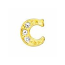 Floating Living Locket Charms, Crystal Rhinestone Gold Alphabet Letter C