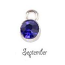 Birthstone Cup Bezel Crystal Charms - 5.8mm, Silver Tone Alloy - September, Sapphire