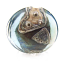 Waterworld 37x35.5x13.5mm (1.5") - Ian Williams Handmade Artisan Glass Lampwork Pendant Bead x1