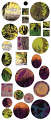 Vintaj Collage Sheet - for Bezels - Garden Sunset