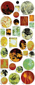 Vintaj Collage Sheet - for Bezels - Perennial Forest