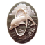 Cameo Cabochon - Acrylic 40x30mm Oval Dolphin - White on Slate x1