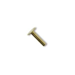 Brass Rivet (1/4 inch) 6.2mm Hd 3.8mm x100