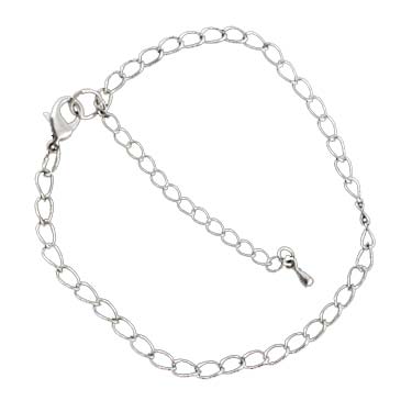 Platinum Tone Charm Bracelet with Extender Chain