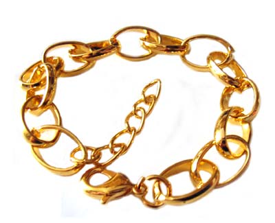Gold Plated Bracelet with Parrot Clasp & Extender Chain