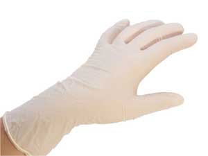 Latex Gloves - Large x10pc