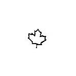Stamping Tool Designs - Maple Leaf (Alternative Collection.38) Specialty Steel Punch Stamp (PRE-ORDER)